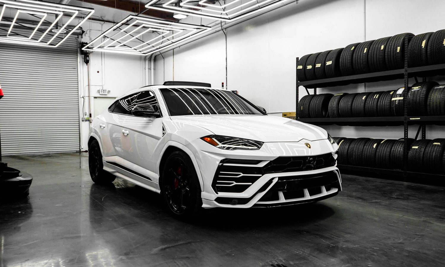 3. pexels-lynxexotics-15489297